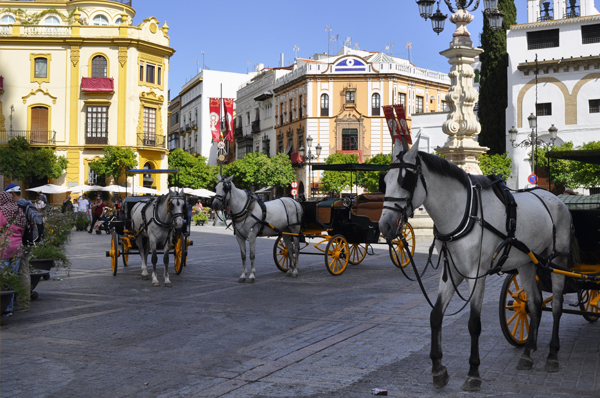 Horse drawn carriages outside Sevilla Cathedral